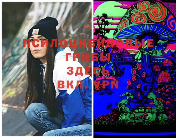 ГАЛЛЮЦИНОГЕННЫЕ ГРИБЫ Кулебаки