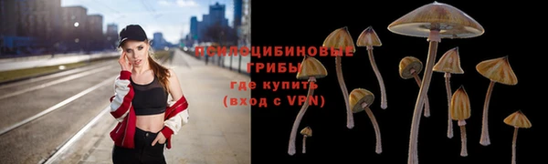 ALPHA PVP Кукмор
