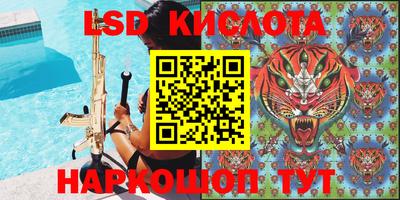 прущие грибы Беслан