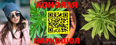 прущие грибы Беслан