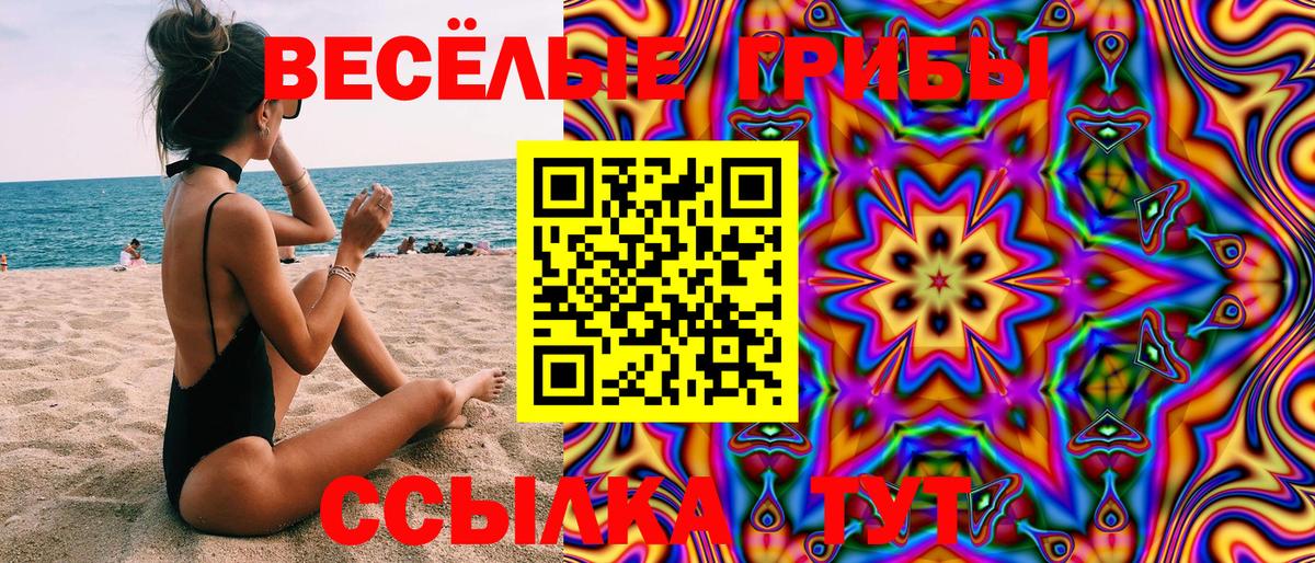 Галлюциногенные грибы Cubensis Миасс
